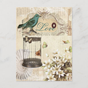 Cartão Postal pássaro moderno do francês do vintage do birdcag