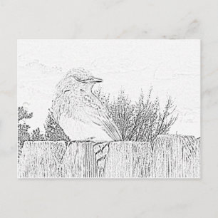 Cartão postal - Pássaro na cerca para cor