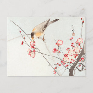 Cartão Postal Pássaro na flor do galho - Ohara Koson - Arte