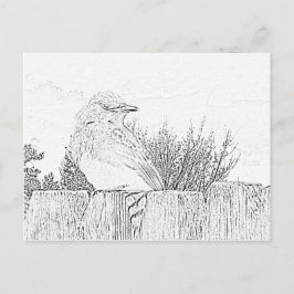 Cartão postal - Pássaro no Cerca para Colorir