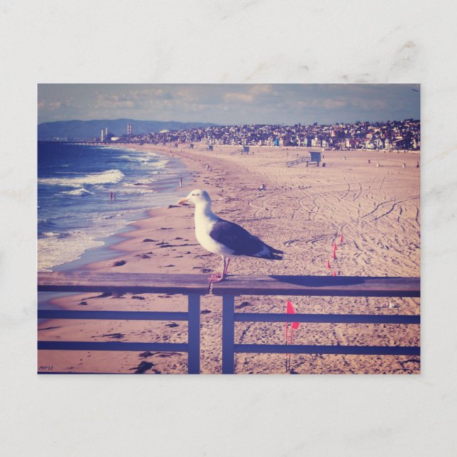 Cartão Postal Pássaro Num Trilho (Frente)