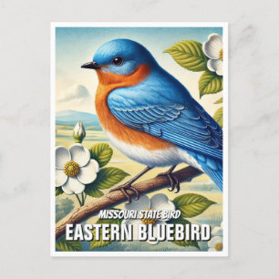 Cartão Postal Pássaro Oriental do Missouri