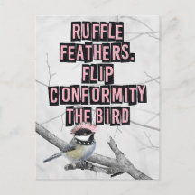 Pássaro Punk Alternativo Anti Conformidade