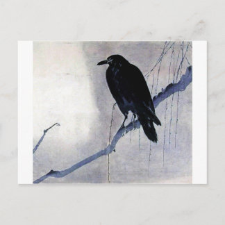 Cartão Postal Pássaro Raven Negro