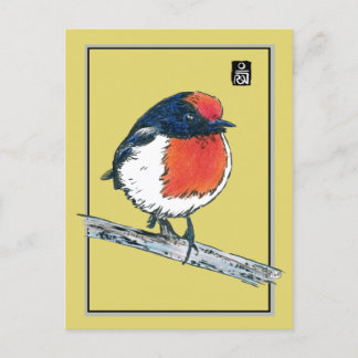 Cartão Postal Pássaro Robin de Capas Vermelhas