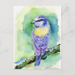 Cartão Postal Pássaro Roxo
