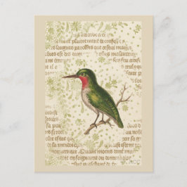 Cartão Postal Pássaro Verde na Ramificação