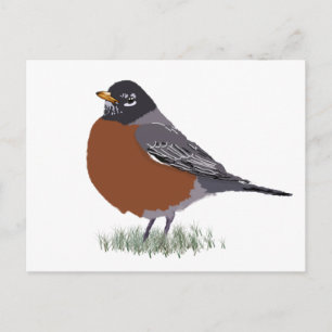 Cartão Postal Pássaro Vermelho Americano Robin Digitalmente Des