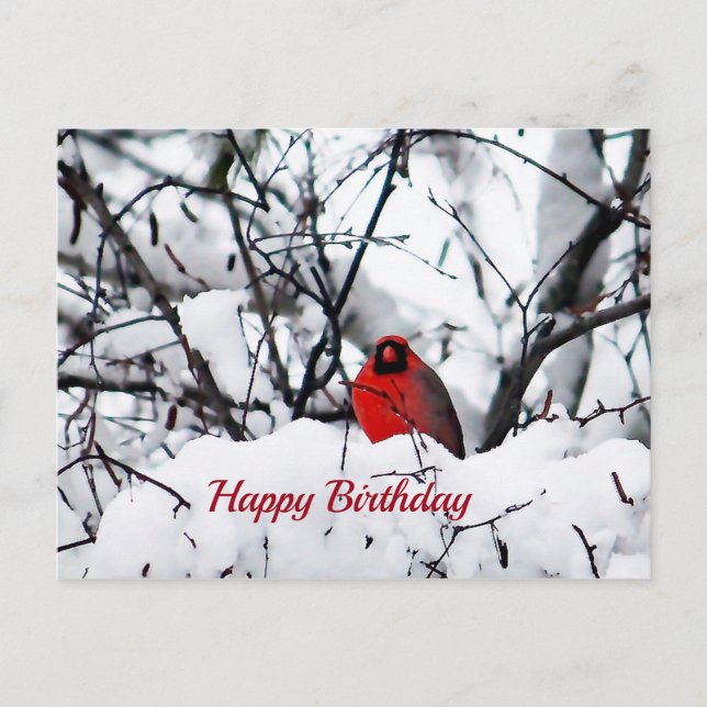 Cartão Postal Pássaro Vermelho Cardinal Foto de Aniversário na N (Frente)