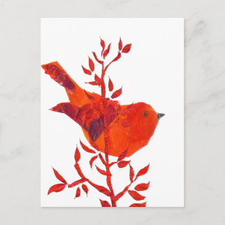 Cartão Postal Pássaro Vermelho mais quente do planeta