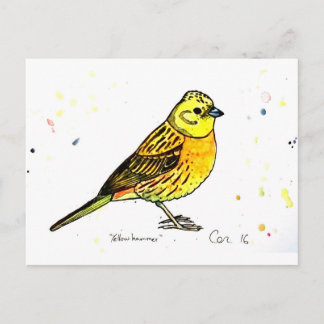 Cartão Postal Pássaro Yellowhammer