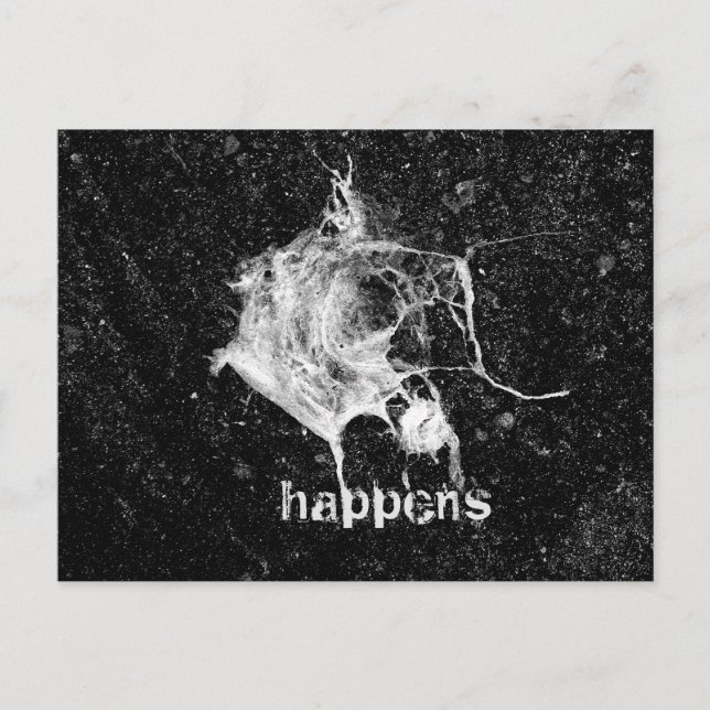 Cartão Postal Pássaros (Frente)