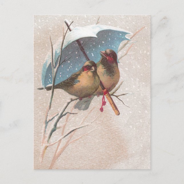 Cartão Postal Pássaros abaixo do guarda-chuva azul (Frente)