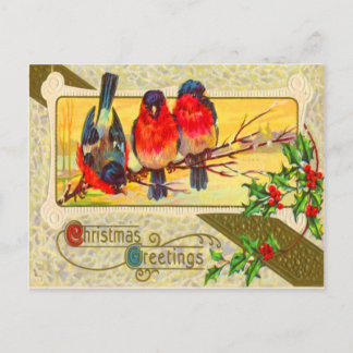 Cartão Postal Pássaros & Azevinho