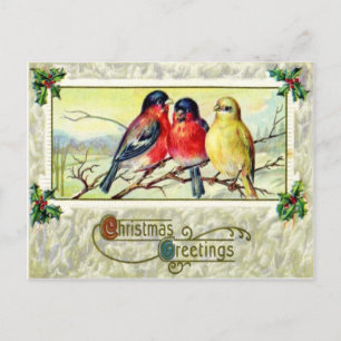 Cartão Postal Pássaros & Azevinho