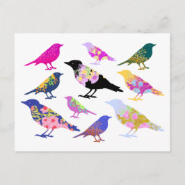 Cartão Postal Pássaros Coloridos Flores Folhas Chic Floral Anima