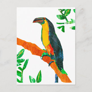 Cartão Postal Pássaros Coloridos Toucan