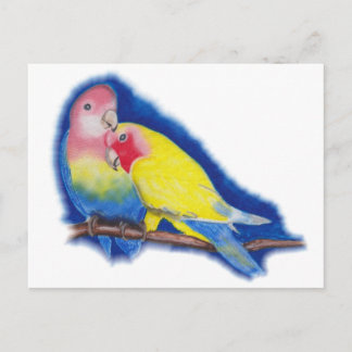Cartão Postal Pássaros do Amor
