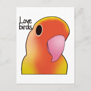 Cartão Postal Pássaros do Amor