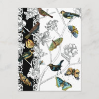 Pássaros e Borboleta em um Fundo Preto e Branco