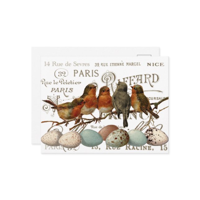 Cartão Postal Pássaros e Ovos Nomes de Cidades Francesas Antigas (Frente/Verso In Situ)