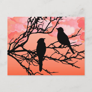 Cartão Postal Pássaros em um galho, Preto contra Laranja Sunset
