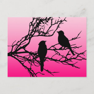 Cartão Postal Pássaros em um Galho, Preto Contra Rosa Aurora