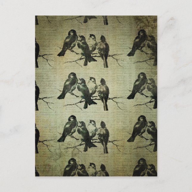 Cartão Postal Pássaros em uma filial (Frente)