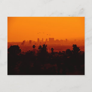 Cartão Postal Pássaros em Voo (Los Angeles, CA)