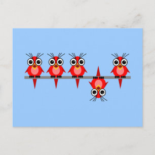 Cartão Postal pássaros engraçados