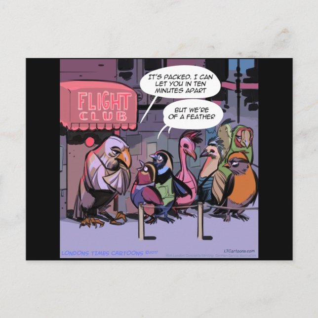 Cartão Postal Pássaros Engraçados De Uma Pena (Frente)