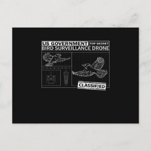 Cartão Postal Pássaros não são verdadeiros - Engraçados observan