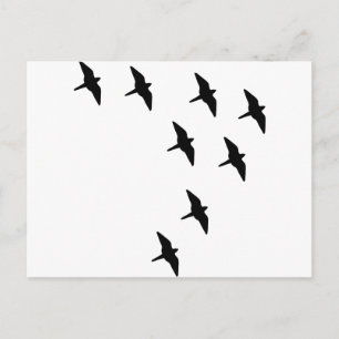 Cartão Postal pássaros negros