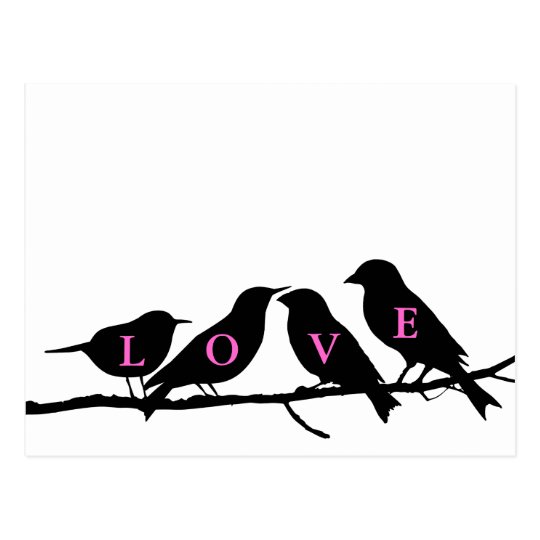 Cartao Postal Passaros Preto E Branco Cor De Rosa Do Amor Zazzle Com Br Um blog sobre minhas receitas culinárias que fazem sucesso. cartao postal passaros preto e branco cor de rosa do amor