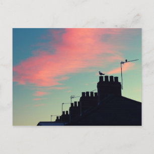 Cartão Postal Pássaros primitivos