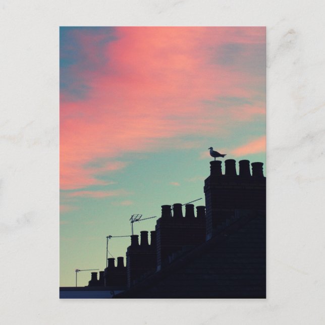 Cartão Postal Pássaros primitivos (Frente)