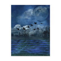 Pássaros voando à noite