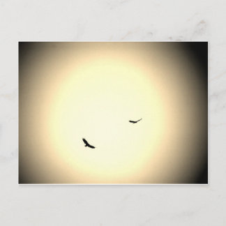 Cartão Postal pássaros voando soltos no céu