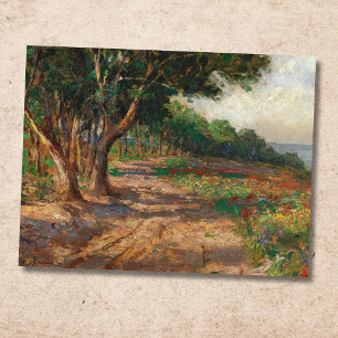 Cartão Postal Passeio arborizado com ulmeiros em Euxinograd