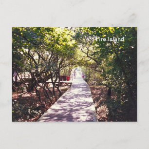 Cartão Postal Passeio de barco no Parque Davis em Fire Is.