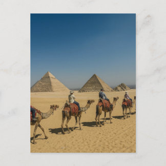 Cartão Postal Passeio de camelo no deserto das pirâmides do Egit