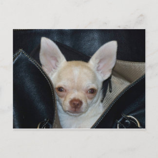 Cartão Postal Passeio de carro