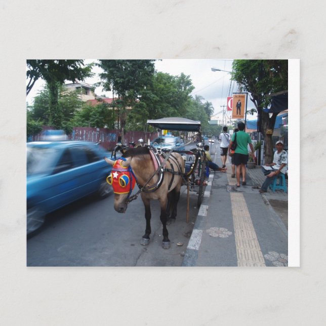 Cartão Postal passeio de cavalo em Bali (Frente)