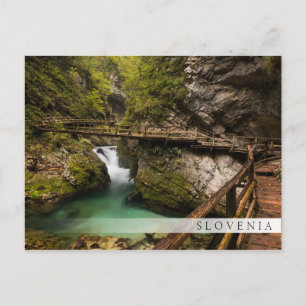 Cartão Postal Passeio de madeira através do desfiladeiro Vintga