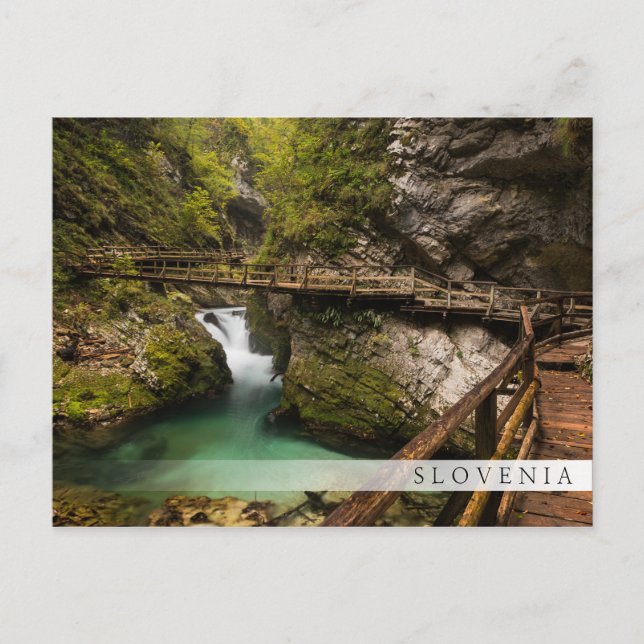 Cartão Postal Passeio de madeira através do desfiladeiro Vintgar (Frente)