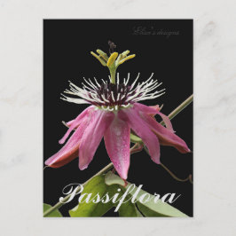 Cartão postal Passiflora
