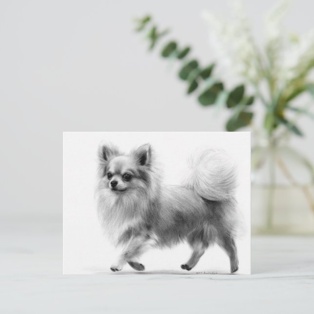 Cartão Postal Passos Confiantes Pintam a Mão Chihuahua (Em pé/Frente)