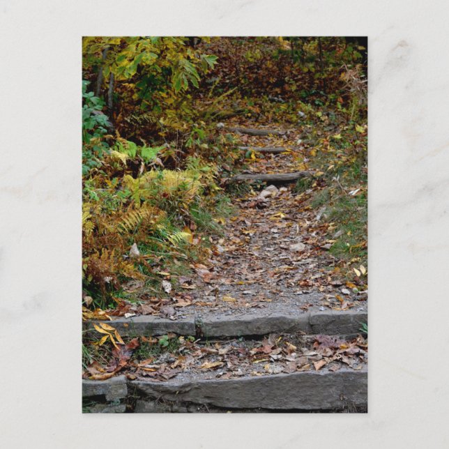 Cartão Postal Passos para a trilha do Applachian (Frente)