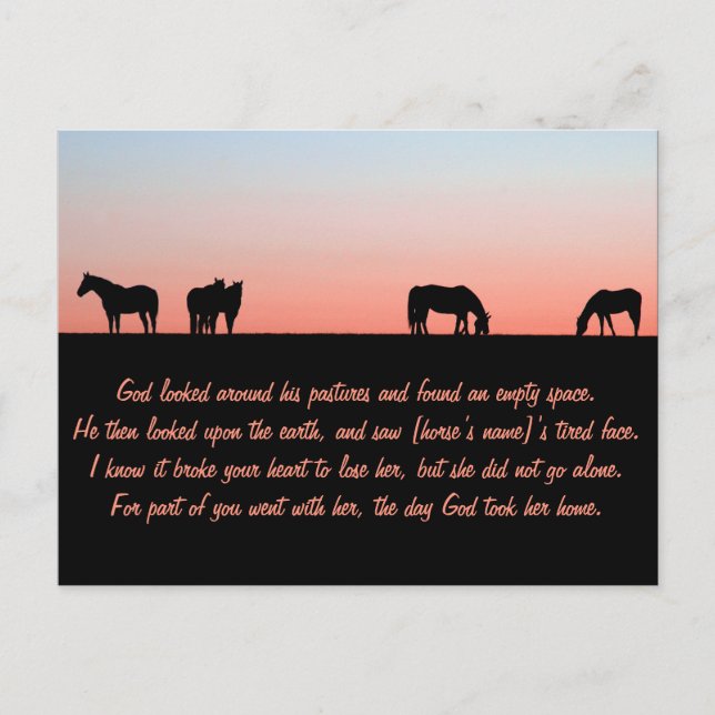 Cartão Postal Pastagem Vazia (Frente)