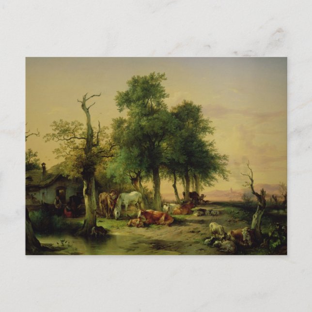 Cartão Postal Pastagens (Frente)